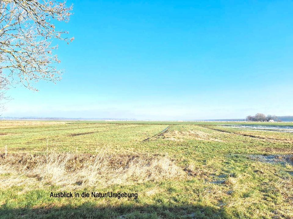 Idyllischer Resthof zum Renoverien mit Wiese am Ortsrand in Averlak