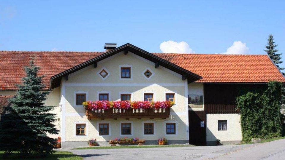 Bayerischer Wald Urlaub am Bauernhof bei Bodenmais in Teisnach