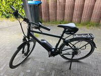 E Bike Pegasus Solero E8 Plus Niedersachsen - Wiesmoor Vorschau