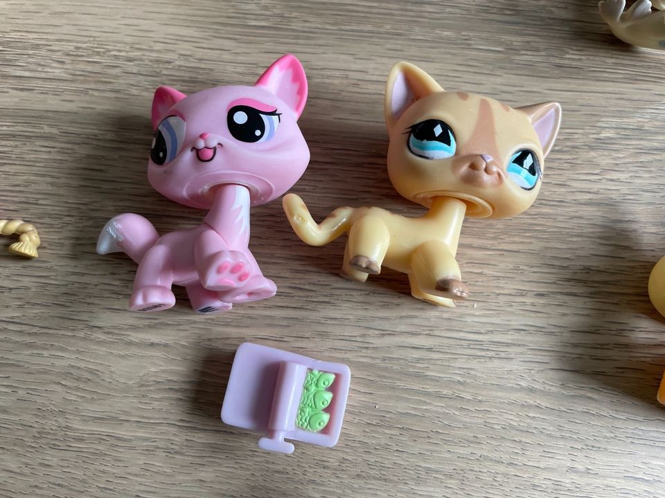 Littlest Pet Shop in Rostock