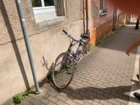 Fahrrad  lila Bike Herren Sachsen - Roßwein Vorschau