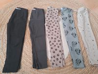 Zara Leggings gr 104 Nordrhein-Westfalen - Leverkusen Vorschau