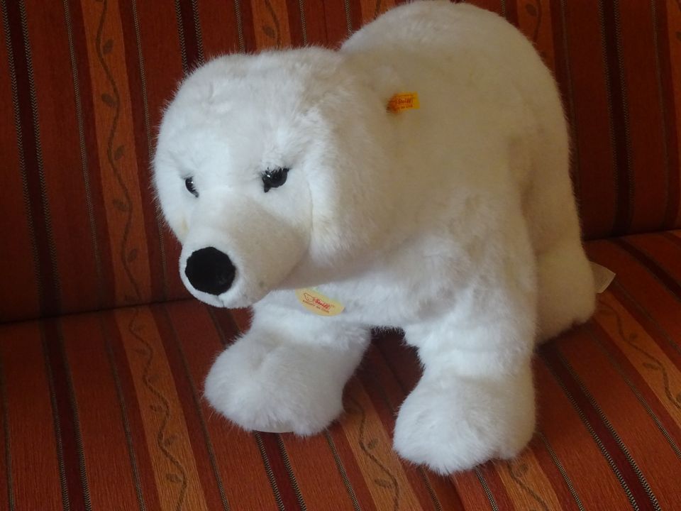 Steiff Eisbär Knut 65 cm Original 501609 in Herne