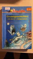 LeseRabe Gruselgeschichten von den 6 1/2 Gespenstern Hessen - Oberursel (Taunus) Vorschau