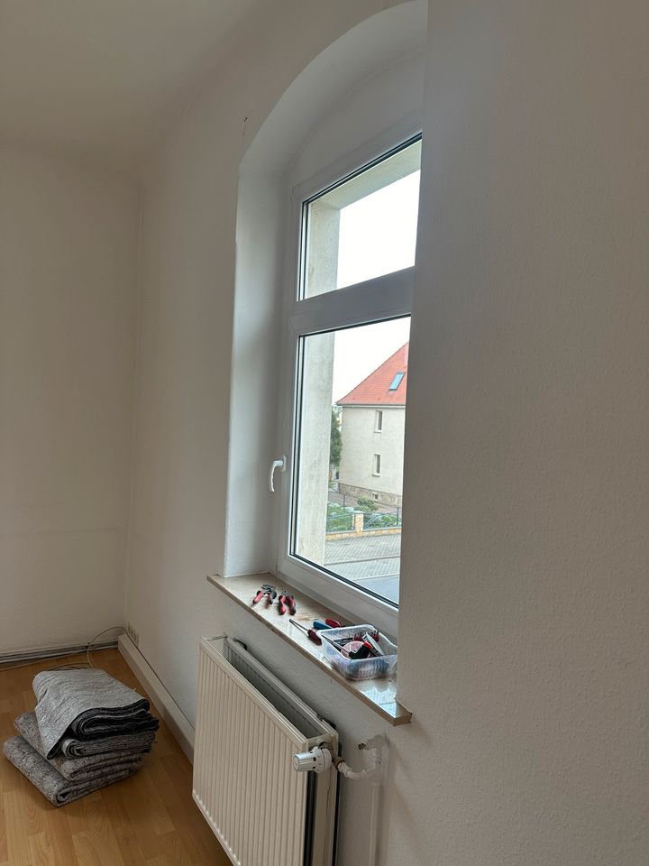 Fenster 2 Stück Kunststoff 156x100cm in Dresden