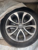 Reifen/Sommer/Nissan/Renault Nordrhein-Westfalen - Lohmar Vorschau