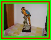 G. Armani Figur - Vogel Papagei Ara Florence Capodimonte Hessen - Otzberg Vorschau