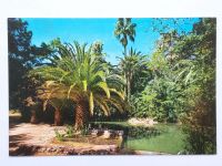 4 schöne Postkarten Mallorca  vintage Friedrichshain-Kreuzberg - Kreuzberg Vorschau