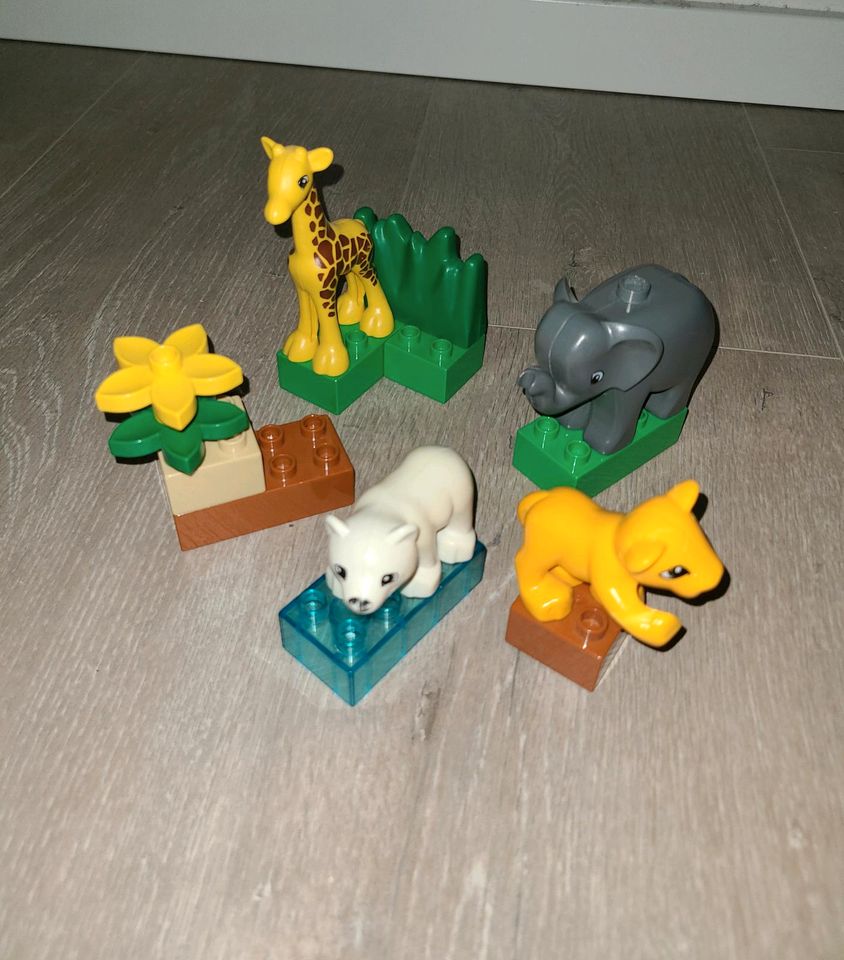 Lego duplo kleiner Zoo in Ennepetal