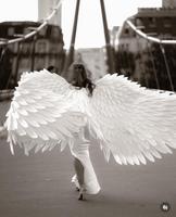 Angel Wings Frankfurt am Main - Sachsenhausen Vorschau