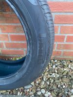 Pirelli Scorpion 235/55 R19 Sommerreifen Nordrhein-Westfalen - Geilenkirchen Vorschau