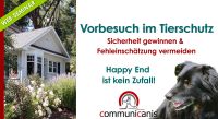 Der Vorbesuch im Tierschutz | Onlineseminar Bayern - Rieden a. Forggensee Vorschau