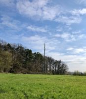 Wald Waldfläche Grundstück Wiese Acker zur PACHT - Ausbau 5G LTE Bayern - Eschau Vorschau