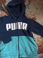 Puma Jacke mit Kapuze Größe 80 Berlin - Pankow Vorschau