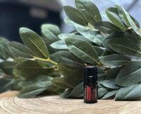 Doterra Passion Bayern - Pfaffing Vorschau