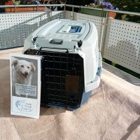 Neuwertige Transportbox für Katze oder für den kleinen Hund Bayern - Würzburg Vorschau