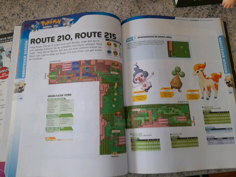 Pokemon Lösungsbuch Gameboy in Bad Kötzting
