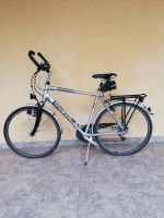 Herrenfahrrad Pegasus Milano GT Trekkingrad 28 Zoll, 24 Gang Bayern - Weidenberg Vorschau