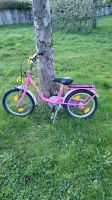 Puky 16" Zoll Kinderfahrrad Fahrrad pink Mädchen Hessen - Lautertal Vorschau