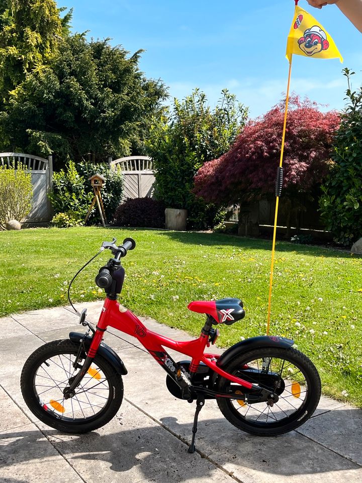 Kinderfahrrad Xlite 16er inkl. Fahne / Verkehrssicherheit in Salzkotten