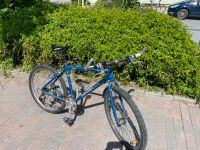 Cannondale Moutainbike blau Bayern - Moosburg a.d. Isar Vorschau