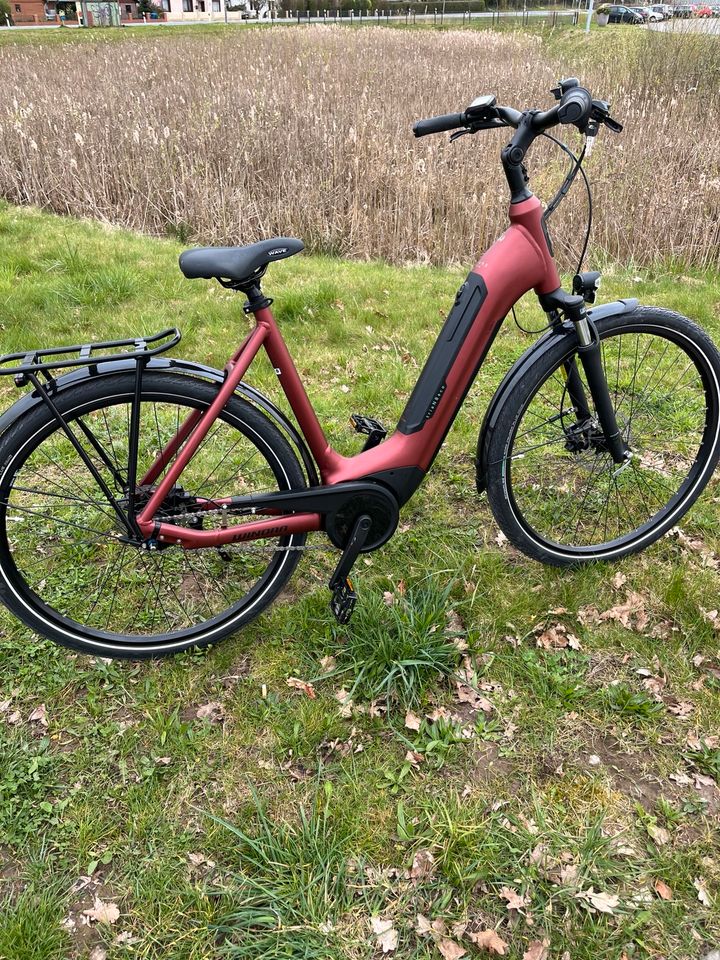 2 Neue E-Bikes Marke Winora in Seevetal