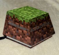 Minecraft Buch Frankfurt am Main - Bergen-Enkheim Vorschau