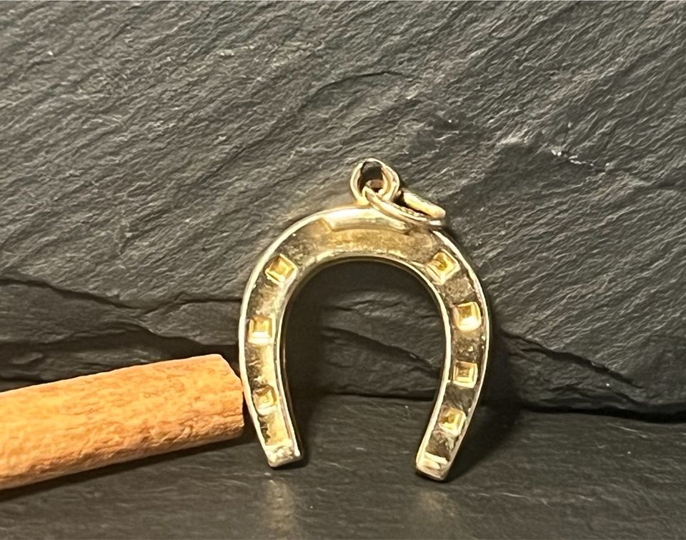 Anhänger / "Hufeisen" 333 (8ct.) / Gelbgold / Gold S659 in Berlin