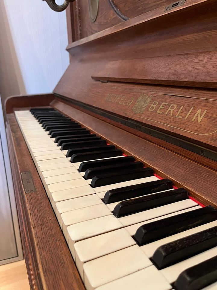 Klavier | Piano NEUFELD BERLIN in Schwalmstadt