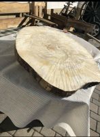 Große Baumscheiben Eiche Pappelscheiben Holzscheiben Adventsdeko Nordrhein-Westfalen - Erftstadt Vorschau