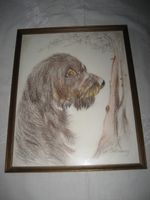 Bild Hund Dackel Rauhaardackel Jagdhund Kunst Zeichnung Gemälde Rheinland-Pfalz - Birkenheide Vorschau