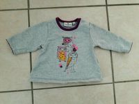 Tom Tailor Baby Pullover Eulen Gr. 68 - wie NEU Hessen - Weilmünster Vorschau