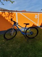 Blaues Radlbauer Fahrrad - Größe M Bayern - Rosenheim Vorschau