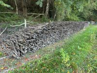 Brennholz Feuerholz Hartholz Obstbaum Apfelbaum Baden-Württemberg - Horgenzell Vorschau