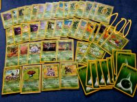 Pokemon Karten Base Gym Jungle Holo selten vintage nidoking pinsi Baden-Württemberg - Überlingen Vorschau