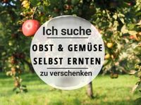 Obst und Gemüse Niedersachsen - Rotenburg (Wümme) Vorschau