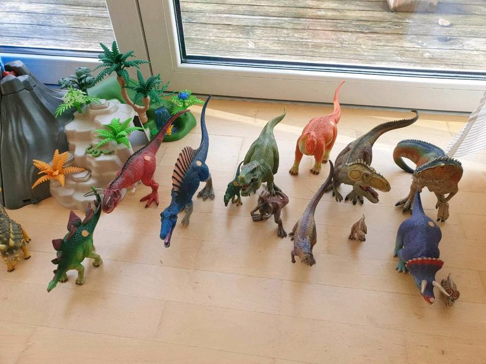 Dinosaurer Sammlung riesig: Schleich, Tiptoi, Playmobil + Vulkan in Waltenhofen