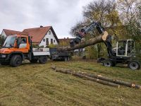 Gartenbau / Aushub / Forstarbeiten / Rodungen Bayern - Erding Vorschau