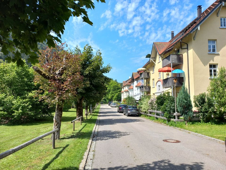 Exklusive Wohnung in den Bergen - Balkon & EBK  - ruhige Randlage in Immenstadt