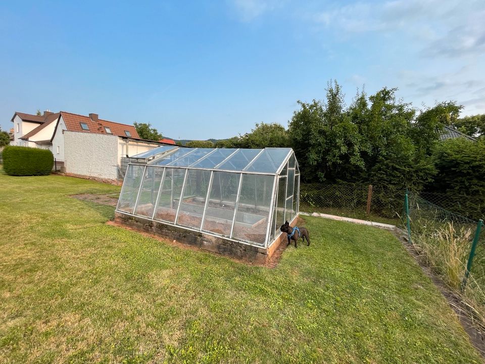 Einfamilienhaus mit großem Garten 4 Garagen in Toplage in Kelbra (Kyffhäuser) Kelbra