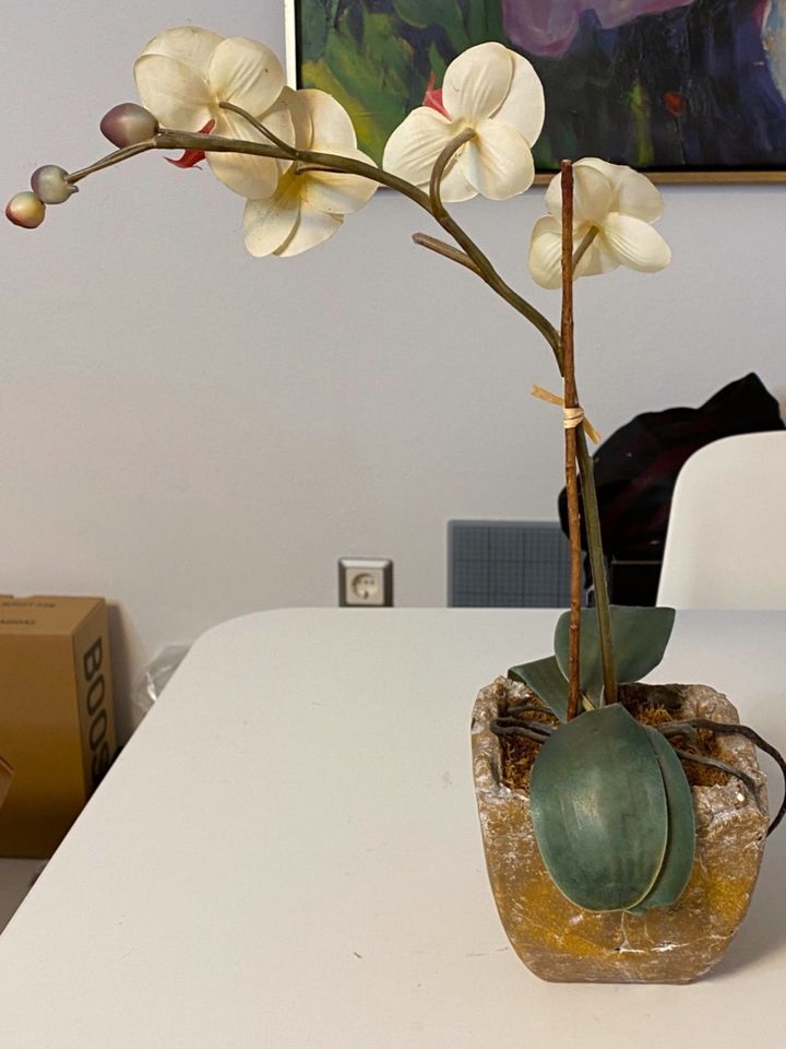Kunstpflanze schöne Orchidee im Topf in Georgsmarienhütte