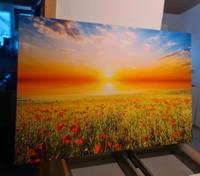Kunstdruck Wand Bild Blumenfeld Sonnenuntergang Mohn 120x80cm Baden-Württemberg - Ravensburg Vorschau