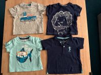 4 T-Shirts von Topomini & Lupilu Größe 68 Niedersachsen - Ilsede Vorschau