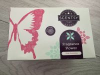 Scentsy Fragrance Flower Pink Sunshine Sachsen-Anhalt - Burg Vorschau