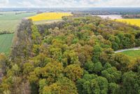 1,2 ha Waldfläche - ehemalige Deponie Brandenburg - Selbelang Vorschau