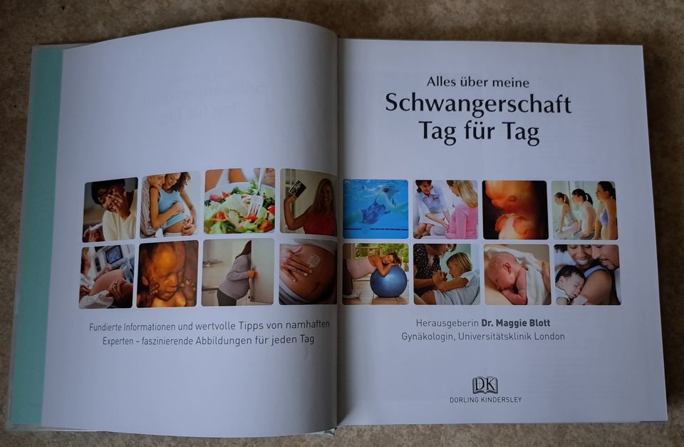 Buch "alles über meine Schwangerschaft Tag für Tag" in Oberlungwitz