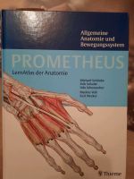 Thieme Prometheus Lernatlas der Anatomie Nürnberg (Mittelfr) - Nordstadt Vorschau