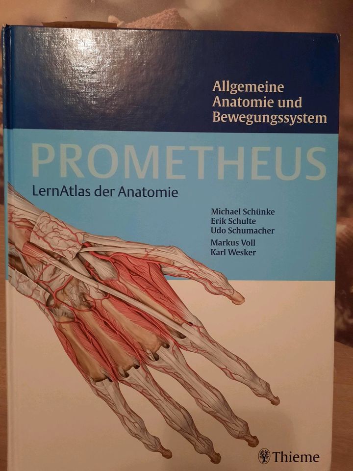 Thieme Prometheus Lernatlas der Anatomie in Nürnberg (Mittelfr)