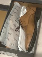 ECCO CITYTRAY Herren Business Schuhe NEU Frankfurt am Main - Eckenheim Vorschau
