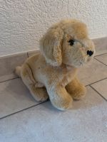 Steiff Golden Retriever sitzend LUMPI Bayern - Schwandorf Vorschau